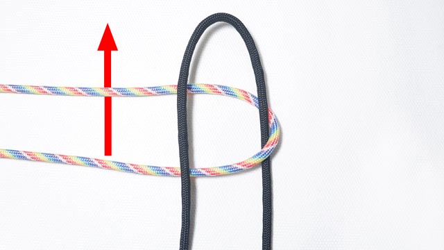 パラコードでダブルスネークノットのキーホルダーの作り方